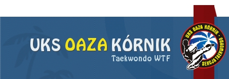 taekwondo wesołek